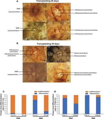 Transcriptome and functional analysis revealed the intervention of brassinosteroid in regulation of cold induced early flowering in tobacco